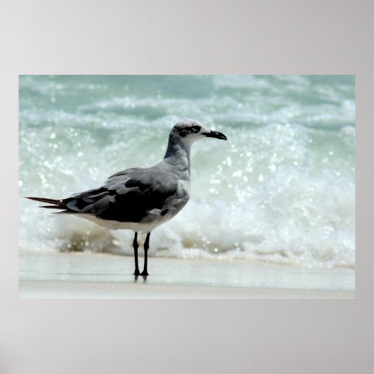 zee poster afdruk (Voorkant)