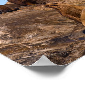 Zee Poster leeuw (Hoek)