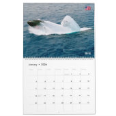ZEE POWER - US Naval Vessels Kalender (Jan 2026)