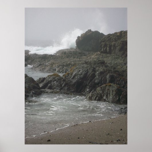 Zee Ranch Beach Poster (Voorkant)