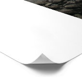 Zee Ranch Poster (Hoek)