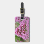 Zee Roze Bagagelabel (Voorkant verticaal)