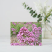Zee Roze Briefkaart (Staand voorkant)