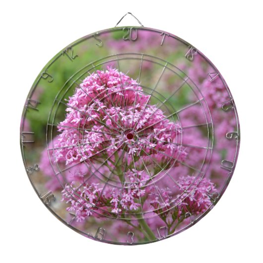 Zee Roze Dartbord (Voorkant)