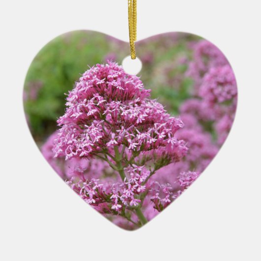 Zee Roze Keramisch Ornament (Voorkant)