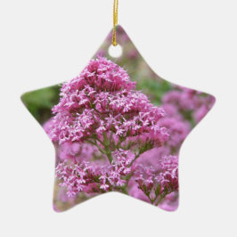 Zee Roze Keramisch Ornament