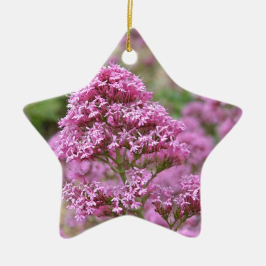 Zee Roze Keramisch Ornament (Voorkant)