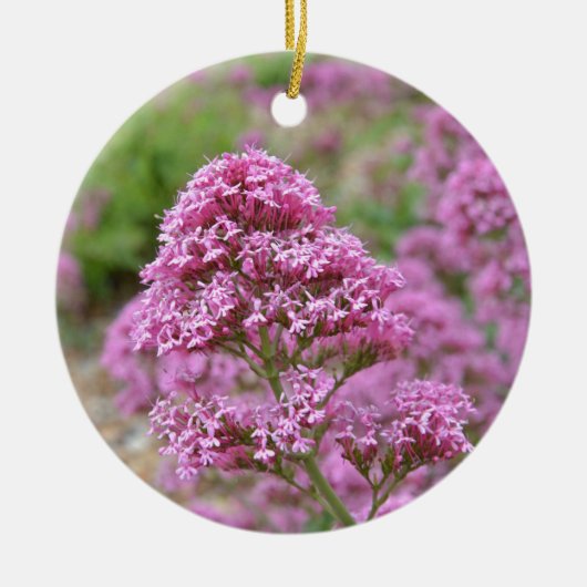 Zee Roze Keramisch Ornament (Voorkant)