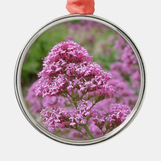 Zee Roze Metalen Ornament (Voorkant)