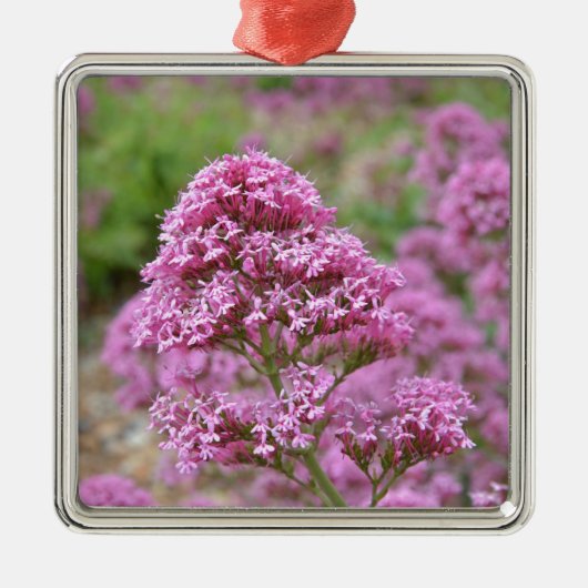 Zee Roze Metalen Ornament (Voorkant)