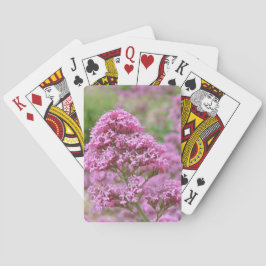 Zee Roze Pokerkaarten