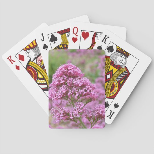 Zee Roze Pokerkaarten (Achterkant)