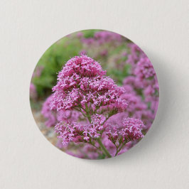 Zee Roze Ronde Button 5,7 Cm