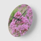 Zee Roze Ronde Klok (Hoek)