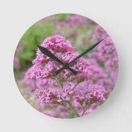 Zee Roze Ronde Klok