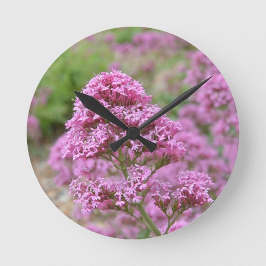 Zee Roze Ronde Klok (Voorkant)