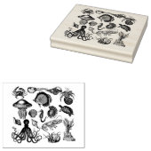 Zee Rubberstempel (Gestempeld)