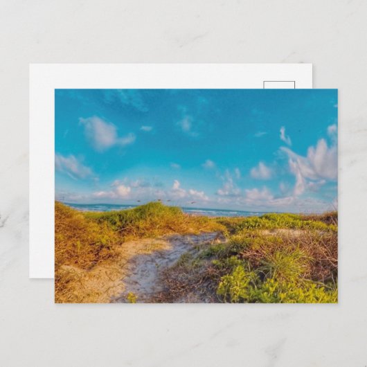 Zee Scape Briefkaart (Voorkant / Achterkant)