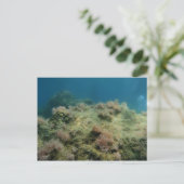 Zee Scape Briefkaart (Staand voorkant)