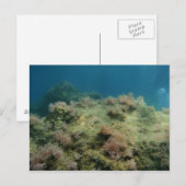 Zee Scape Briefkaart (Voorkant / Achterkant)