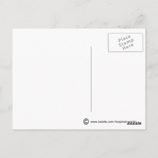 Zee schedel / Briefkaart (Achterkant)