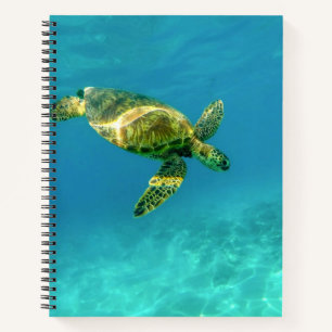 Zee Scheerschildpad zwemt in turkooizen oceaanwate Notitieboek