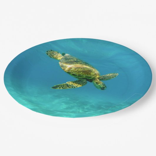 Zee Scheerschildpad zwemt in turkooizen oceaanwate Papieren Bordje (Gekanteld)