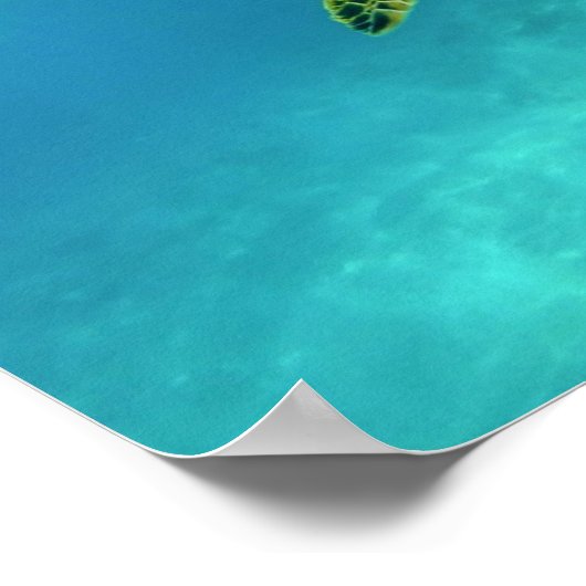 Zee Scheerschildpad zwemt in turkooizen oceaanwate Poster (Hoek)