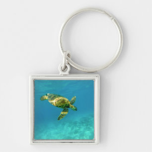 Zee Scheerschildpad zwemt in turkooizen oceaanwate Sleutelhanger