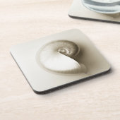 Zee schelp 2 onderzetter (Linkerzijde)