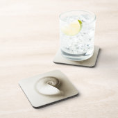 Zee schelp 2 onderzetter (Rechterzijde)