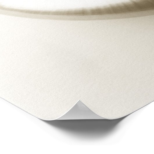 Zee schelp van geparelde nautilus 2 poster (Hoek)