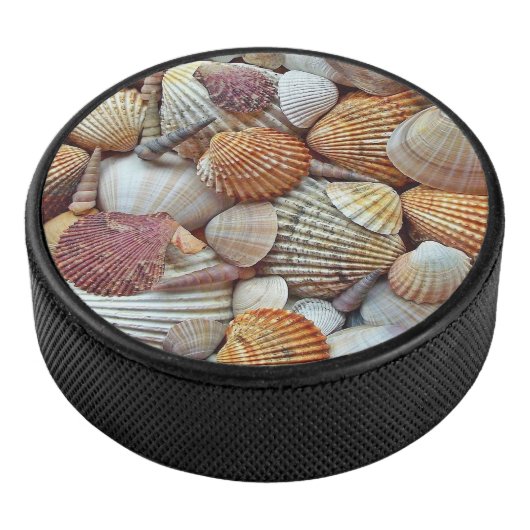 Zee Schelpen Hockey Puck (3/4)