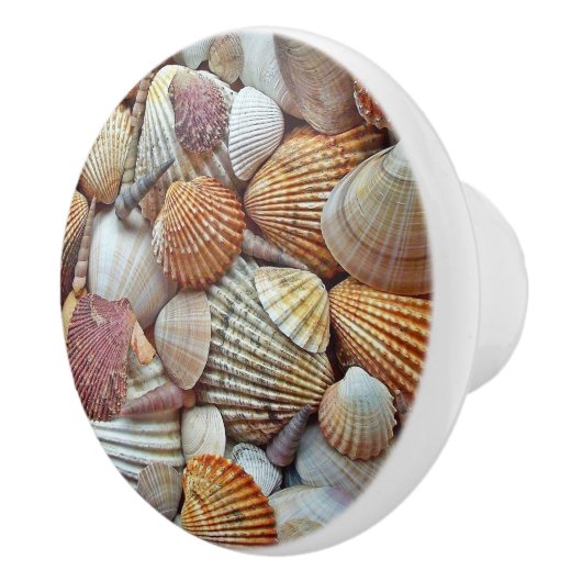 Zee Schelpen Keramische Knop (Rechts)