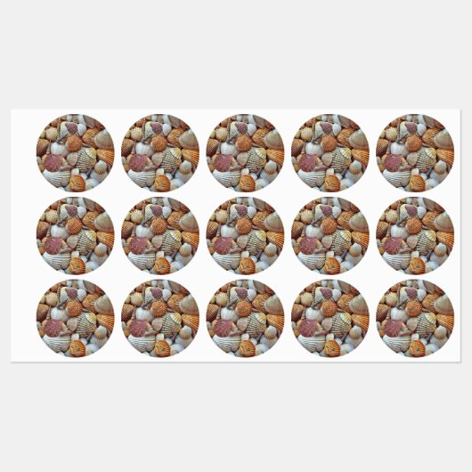 Zee Schelpen Labels (Vel)