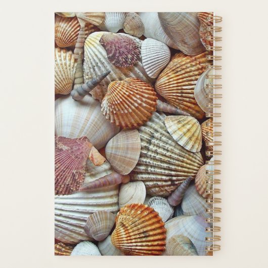 Zee Schelpen Planner (Achterkant)