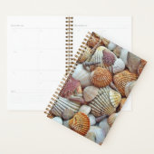 Zee Schelpen Planner (Display)