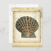 Zee Scheppen van de Shore Briefkaart (Voorkant / Achterkant)