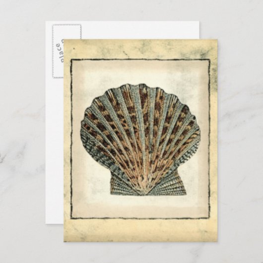 Zee Scheppen van de Shore Briefkaart (Voorkant / Achterkant)