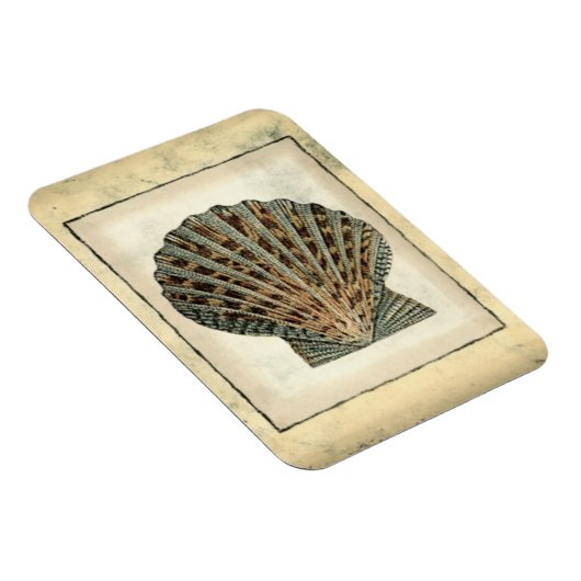 Zee Scheppen van de Shore Magneet (Rechterzijde)