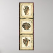 Zee Scheppen van de Shore Poster (Voorkant)