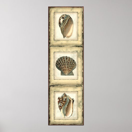 Zee Scheppen van de Shore Poster (Voorkant)