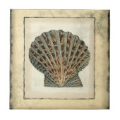 Zee Scheppen van de Shore Tegeltje (Voorkant)