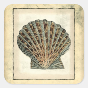 Zee Scheppen van de Shore Vierkante Sticker