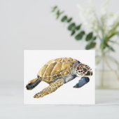 Zee Schets waterverf schildpad Briefkaart (Staand voorkant)