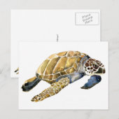 Zee Schets waterverf schildpad Briefkaart (Voorkant / Achterkant)