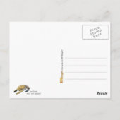 Zee Schets waterverf schildpad Briefkaart (Achterkant)