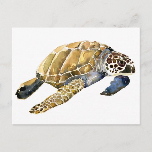 Zee Schets waterverf schildpad Briefkaart (Voorkant)