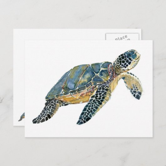 Zee Schets waterverf schildpad Briefkaart (Voorkant / Achterkant)