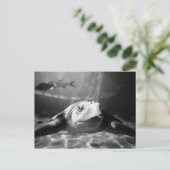 Zee schildpad briefkaart (Staand voorkant)